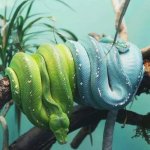 10850737_10204548035674216_1928913242_n