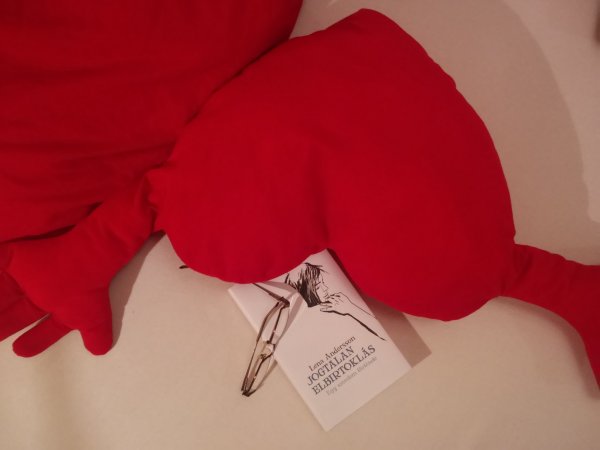 Jogtalan elbirtoklás Lena Andersson könyvajánló Pink Dust blog