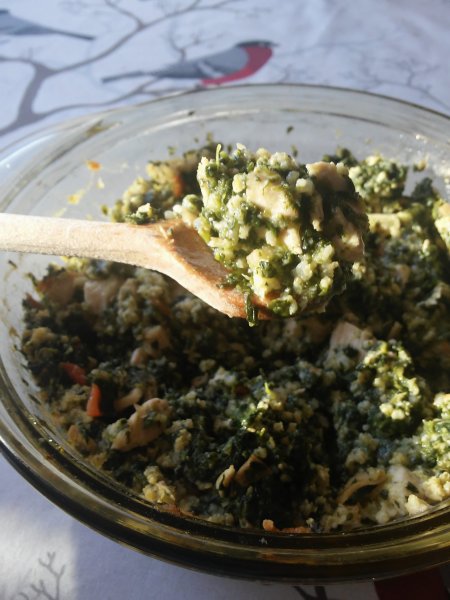 Jénaiban sült spenótos csirke kölessel | Gluténmentes, tejmentes recept