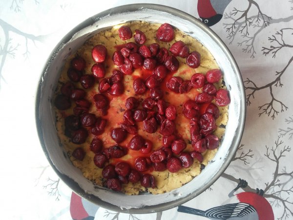 Gluténmentes, tejmentes, cukormentes morzsasüti recept | Pink Dust blog