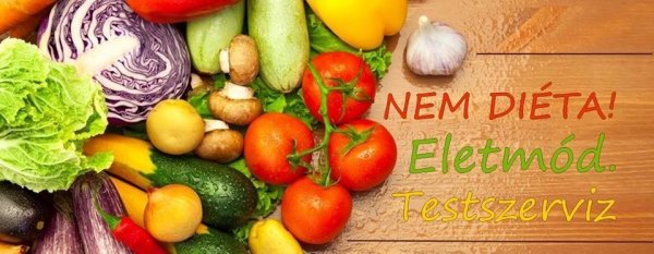 Testszerviz - Sopron Cafeblog